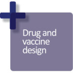Drug and vaccine design
