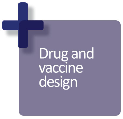 Drug and vaccine design
