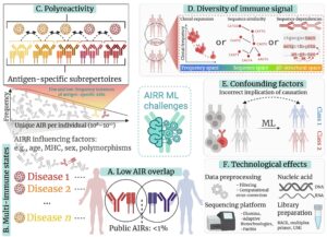iReceptor Plus partners published a review article on mining AIRRs for biological and clinical information using machine learning