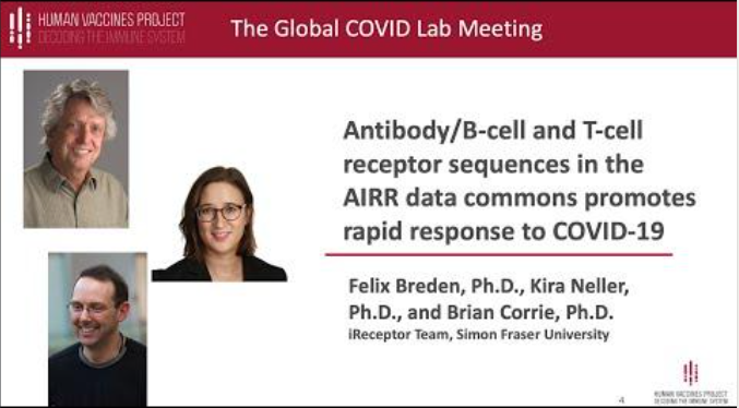 Read more about the article Contribution of iReceptor Plus to COVID-19 research highlighted at Human Vaccine Project meeting